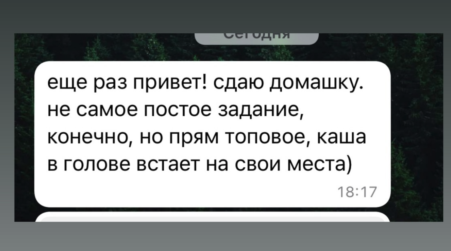 Снимок экрана 2024-06-18 в 20.49.46